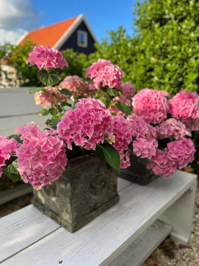 Maison Blakenburg Wissenkerke Eksteriør bilde